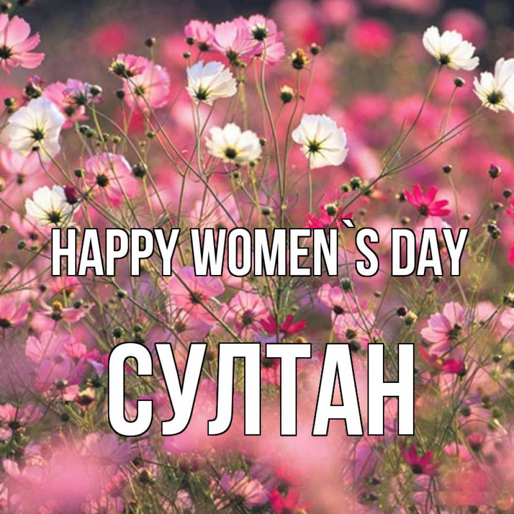 Greetings card с именем, Султан happy women`s day красиво 1 Greetings with text for free download 